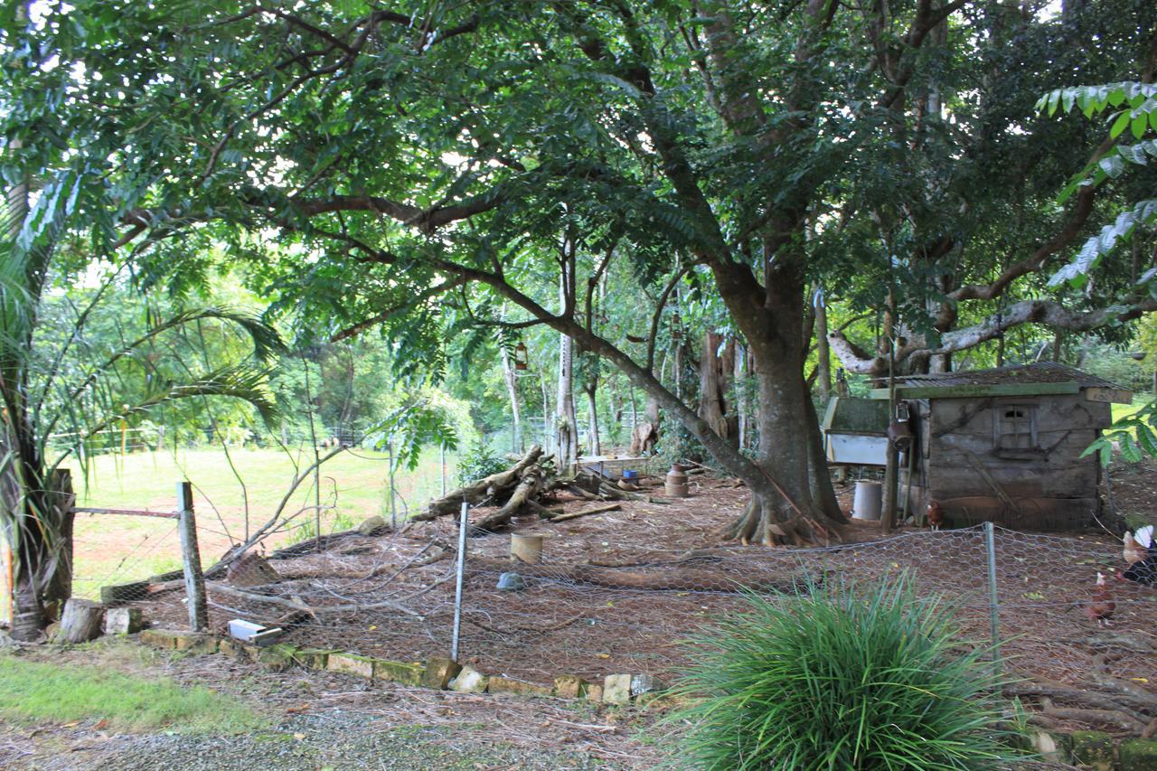 Alstonville Country Cottages Εξωτερικό φωτογραφία